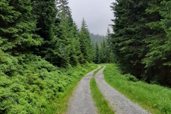 Skřítek-Stará Ves (přírodní rezervace Břidličná)